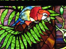 stainge glass_parrot