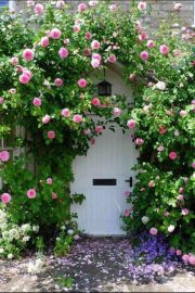 Rose covered door