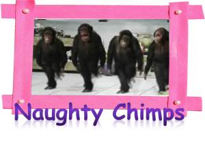 Naughty Chimps