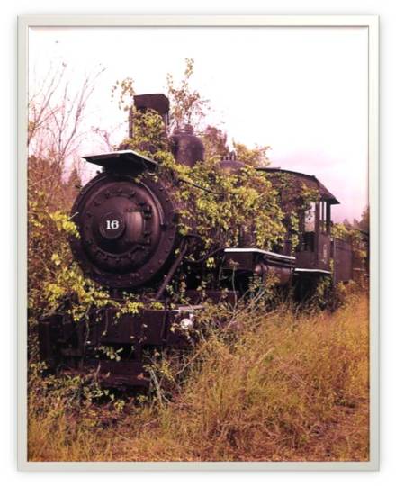 Abandoned Locomotive 2