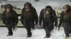 Naughty Chimps