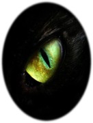 Black-GOLD_dragon-cat Eye
