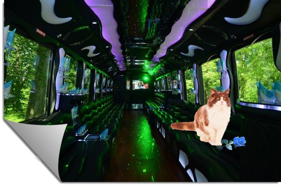 Party Bus inside Lilith