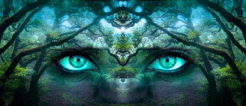 eyes forest aqua fantasy-pixabay