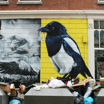 Magpie wall mural by marina-salles