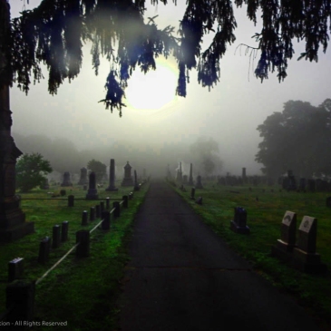 Foggy Cemetery, Dan Antion