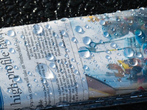 Newspaper in the rain, by Dan Antion