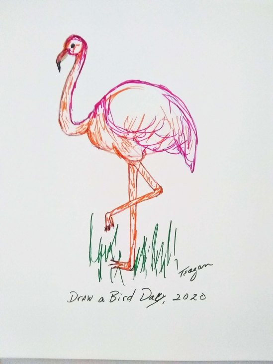 Draw a Bird Day Flamingo 2020