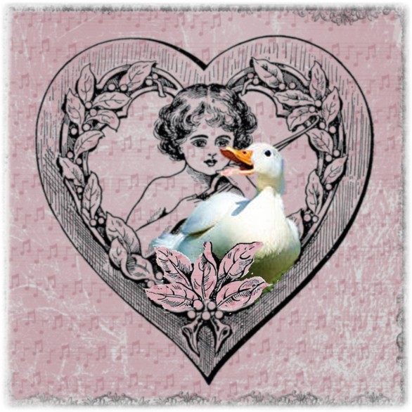 Duck Cupid Quellie pink