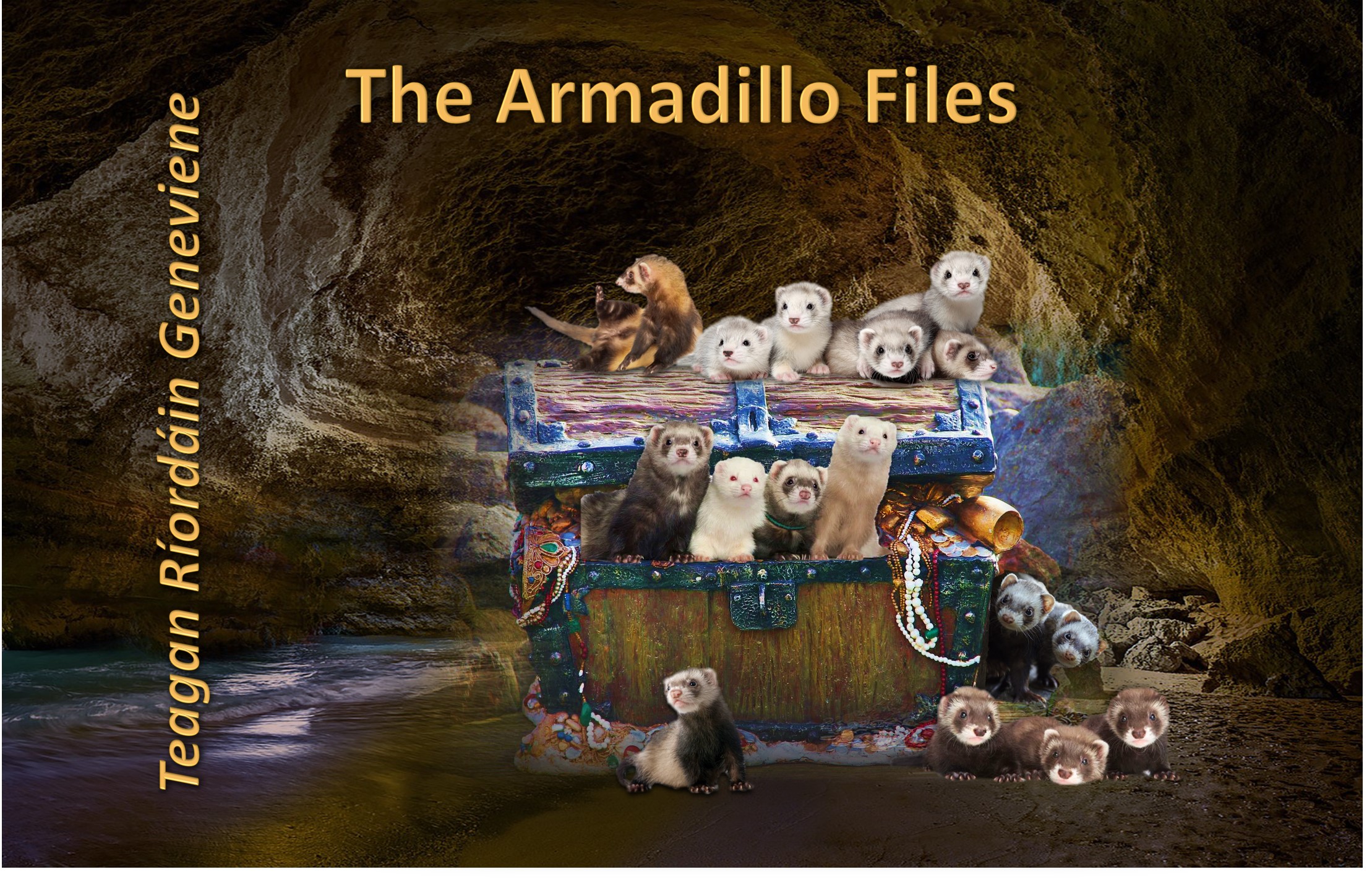 Armadillo promo Ferrets by Teagan Geneviene