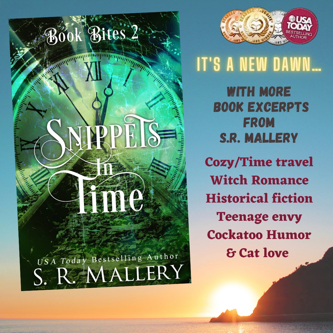 Snippets in Time 2 SR Mallery